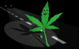 herbie.gif - 38751 Bytes